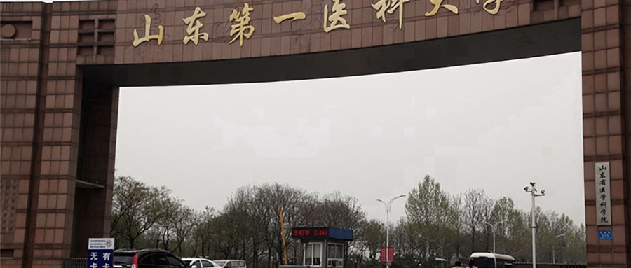 山东第一医科大学近三年录取分数线及位次：陕西2022-2024最低分