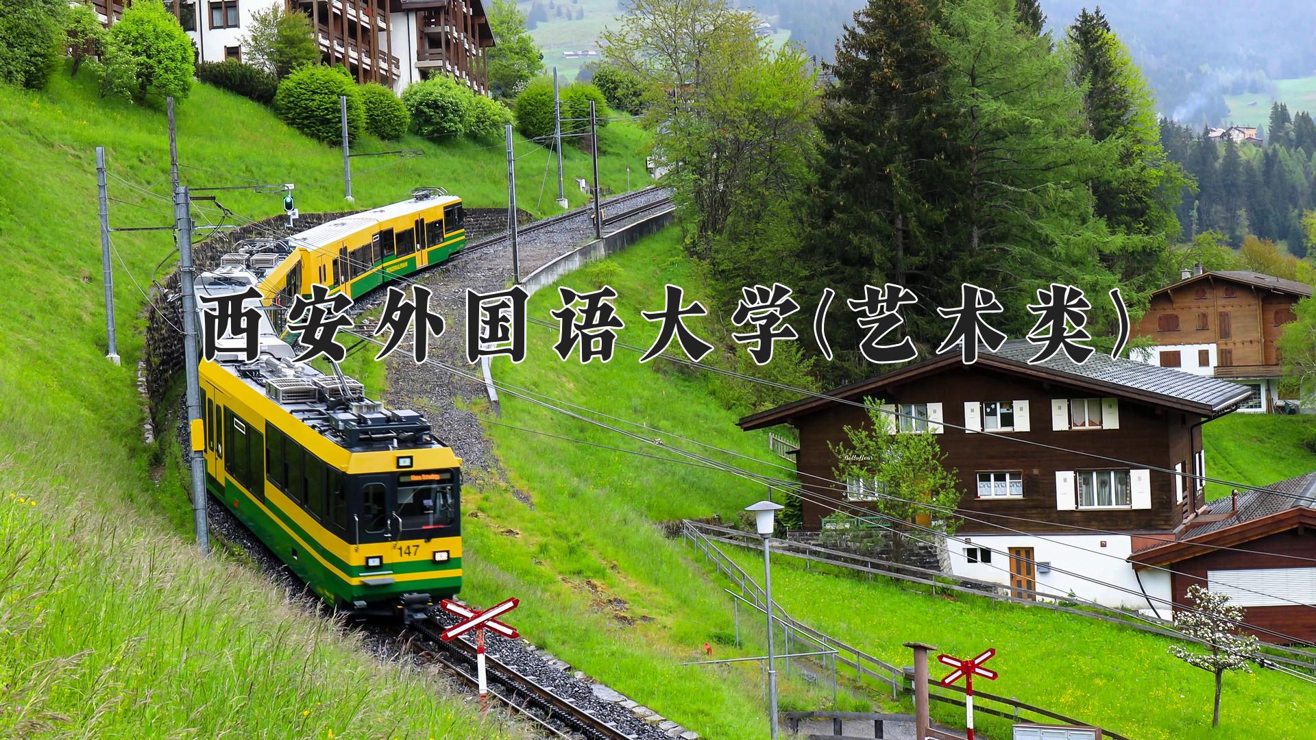 西安外国语大学(艺术类)